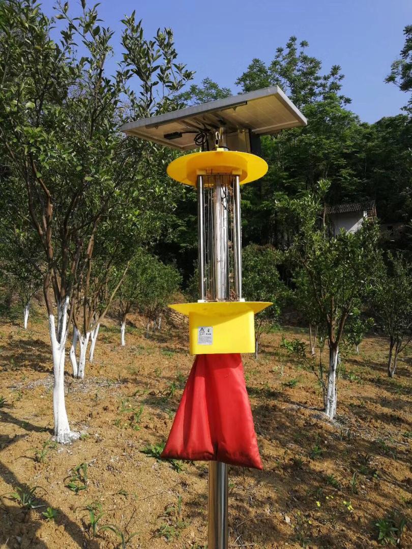 solar anti-insect lamp
